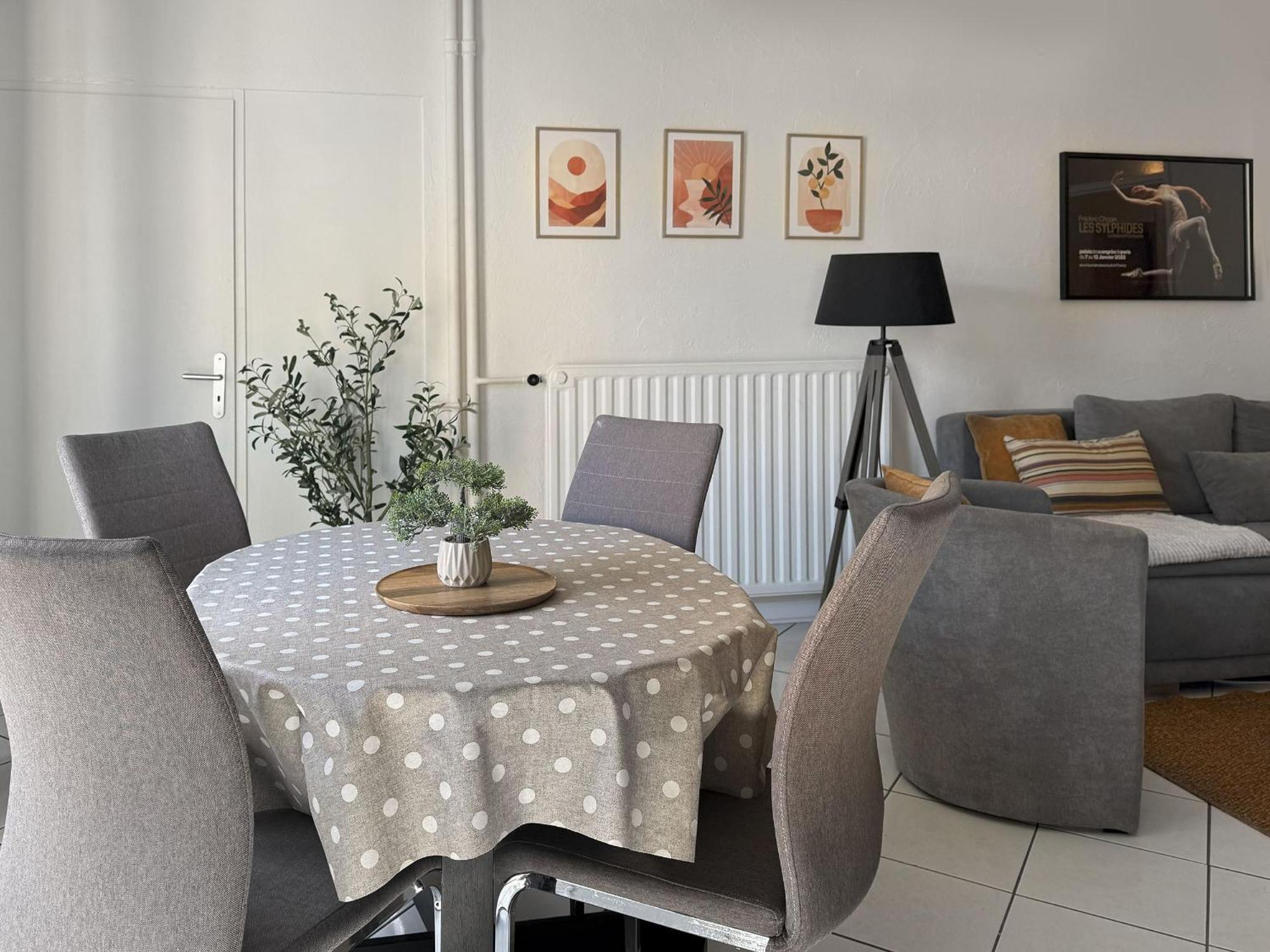 Appartement Chopin Au Coeur De Nancy